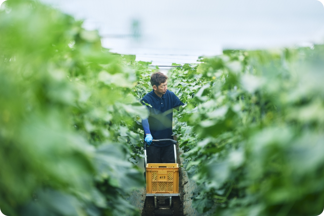 農家支援・販路開拓